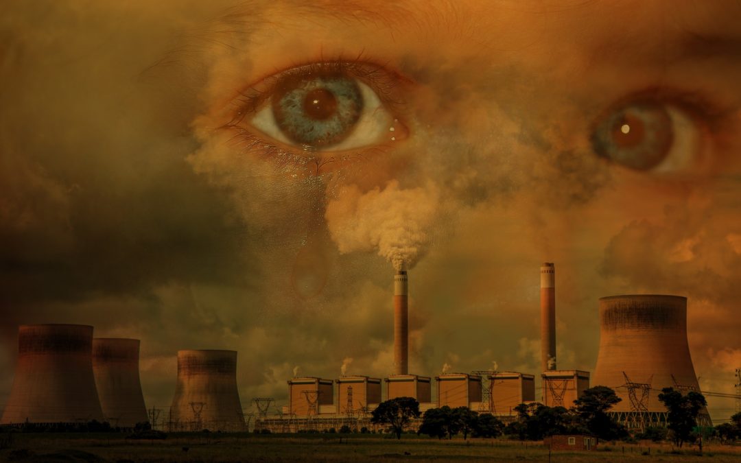 Asma, entorno y cambio climático