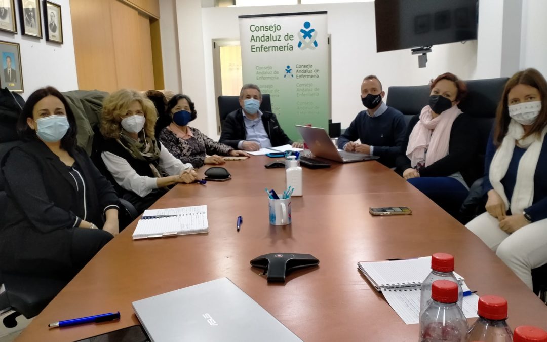 Enfermeras, docentes, familias y pacientes se reúnen para impulsar la implantación de la Enfermera Escolar en Andalucía